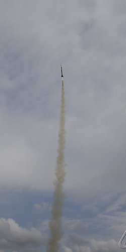 2013 Svojek Mirek Topinka